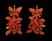 Boucles d'oreilles Boucles d’oreilles anciennes en or 14 carats et corail 58 Facettes 7650