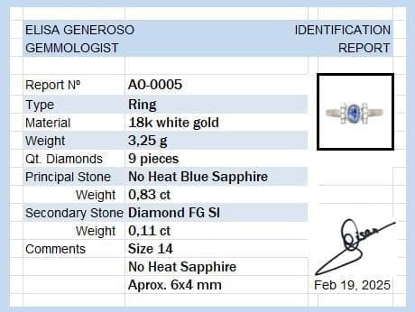 Bague 54 Bague en or blanc 18 carats avec saphir bleu et diamants 58 Facettes AO-0005
