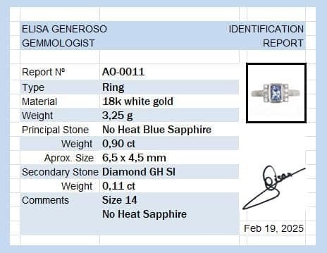 Bague Bague en or blanc 18 carats avec saphir bleu de Ceylan et diamants 58 Facettes AO-0011