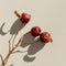 Boucles d'oreilles Boucles d’oreilles rubis en or jaune 58 Facettes INV019