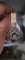 Bracelet Napoléon III - Bracelet en or rose 18 carats, argent et diamants 58 Facettes