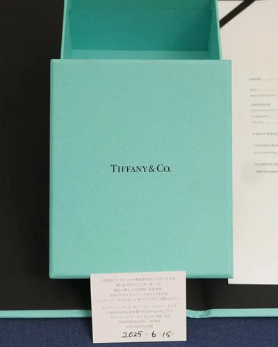 Collier Tiffany & Co. - Collier solitaire en platine serti d’un diamant 0,28 ct 58 Facettes