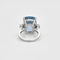 Bague 55 Bague saphir de Ceylan 25 ct en or blanc 58 Facettes