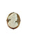 Broche Broche camée sur agate en or jaune 18 carats 58 Facettes