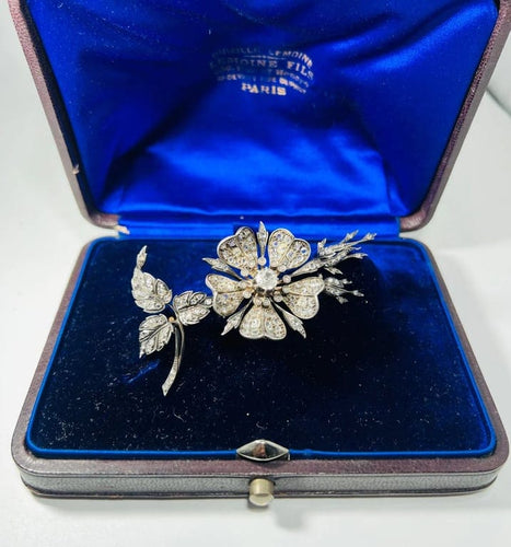 Broche Broche trembleuse XIXe siècle en argent et or, diamants 58 Facettes 234