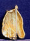 Broche Broche cheval en or jaune 18K et diamants 58 Facettes