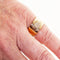 Bague 50.5 BVLGARI BVLGARI - Bague en or rose 18 carats et diamants 58 Facettes D361633UZ