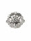 Bague 51 Bague pétales en or blanc 18 carats et diamants 58 Facettes 20-150-49