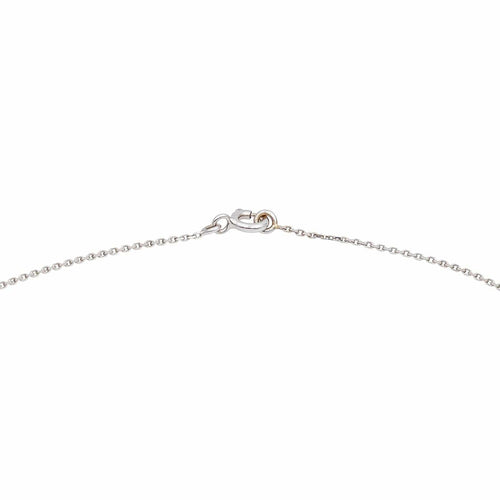 Collier Collier  Or blanc Diamant 58 Facettes 4878437CN