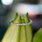 Bague 51 Bague demi-alliance éternité en or blanc 14K et diamants naturels 58 Facettes