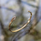 Bracelet Kimberly Doyle - Bracelet jonc en or 14 carats à pointes serties de diamants 58 Facettes A2001T