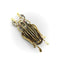 Broche Époque édouardienne - Broche scarabée en or 18k, argent et diamants 58 Facettes