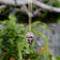 Pendentif Pendentif scarabée en faïence - Revival égyptien en or 14K 58 Facettes A2007A
