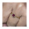 Bague 54 ROUGE - Bague en or jaune 18 kt avec diamants et rubis 58 Facettes UKD360099AS