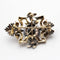 Pendentif Broche isabélin - Broche/pendentif en platine et or rose 18 ct diamants 58 Facettes UKD364086JC