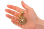 Flacon de parfum victorien français en or orné d'un treillis turquoise, vers 1860 58 Facettes 26050-0271