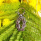 Pendentif Palmes Académiques - Pendentif en or 18k et argent, diamants et rubis 58 Facettes 241