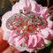 Pendentif Constantia - Broche-pendentif Art Nouveau en or jaune 18k, argent et diamants 58 Facettes 212