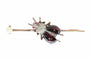 Broche Broche victorienne française en forme de barrette ornée d'un scarabée serti de grenats, de rubis et de diamants 58 Facettes 26050-0148