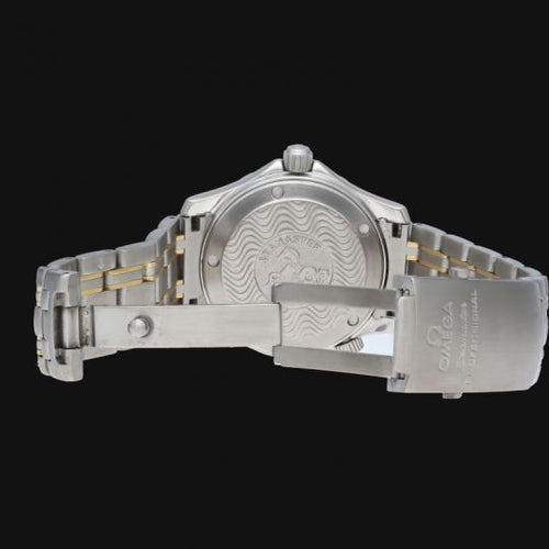 Montre Omega Montre Seamaster Professional 300M 58 Facettes MT45510
