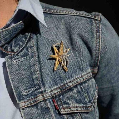 Broche Boucheron Starlight - Broche étoile en or jaune et platine diamants 58 Facettes 793350