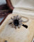 Bague 56 Bague marguerite vintage en or blanc 18 carats, saphir et diamants 58 Facettes 660