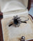 Bague 56 Bague marguerite vintage en or blanc 18 carats, saphir et diamants 58 Facettes 660