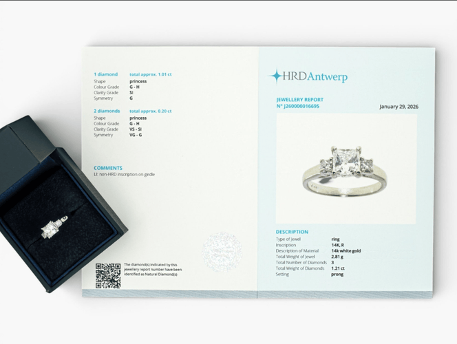Bague 50 Bague entourage en or blanc 14 ct avec diamants 1,21 ct et certificat HRD 58 Facettes J250000016695