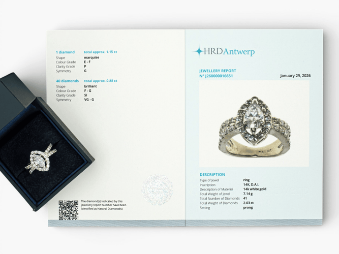 Bague 53 HRD - Bague entourage en or blanc 14 ct et diamants 2,03 ct 58 Facettes J260000016651