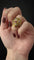 Bague Cozzolino - Bague bombée en or jaune 18K diamants et rubis 58 Facettes
