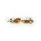 Boucles d'oreilles Boucles d'oreilles coquillage en or jaune et or blanc 750 58 Facettes 149066042