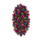 Bague 57 Bague bandeau ovale bombée en or jaune 18 ct avec rubis, saphirs et émeraudes 58 Facettes 34063