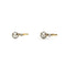 Boucles d'oreilles Boucles d'oreilles dormeuses en or jaune, platine et diamants 58 Facettes 260104R