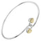 Bracelet Tiffany & Co. Double Heart Lock - Bracelet en argent et or jaune 58 Facettes s3dhie