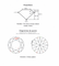 Gemstone Diamant 3,18ct D SI2 58 Facettes BO/230069