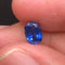 Bracelet AITCHES - Bracelet tennis en or blanc 18K avec saphir et diamants 58 Facettes GBT1042WG