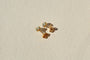 Boucles d'oreilles Boucles d'oreilles cœur en or jaune 18 carats et aigues-marines 58 Facettes 3941