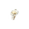 Bague 51 Dodo - Bague tournante animalier en argent et or jaune 58 Facettes 19394