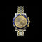 Zenith El Primero Rainbow - Montre référence 53.0370.400 acier et or 58 Facettes