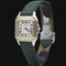 Montre Cartier Panthère - Montre en or jaune et acier 58 Facettes MT46656