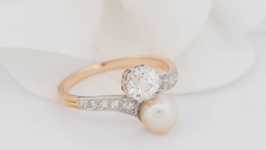 https://cdn.shopify.com/s/files/1/0750/3799/9372/files/P1016588JPG_67af6a95089eb3.70441368.jpg?v=1739624614