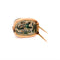 Broche Broche scarabée égyptienne ancienne en or 58 Facettes BRO-1006