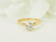 Bague 51 Solitaire - Bague en or jaune avec diamant 0,74 ct 58 Facettes F5077
