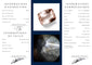 Inner Page.jpg