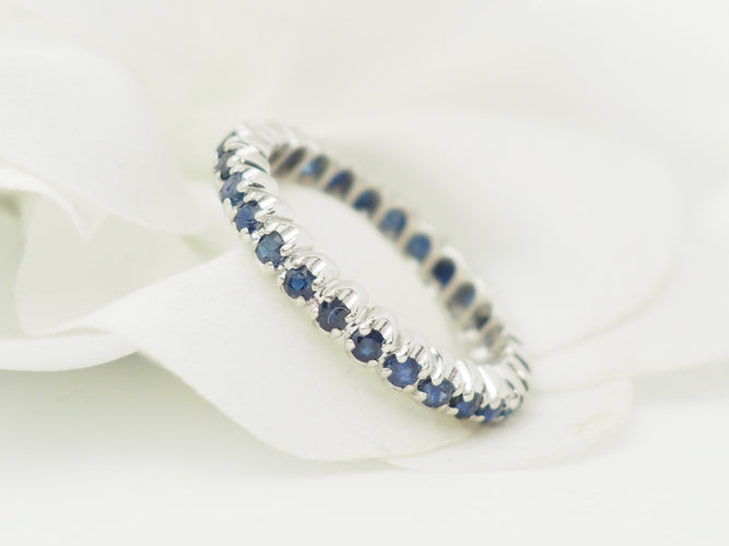 https://cdn.shopify.com/s/files/1/0750/3799/9372/files/P1019662.jpg?v=1781096162