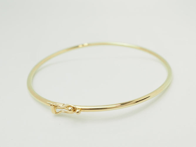 https://cdn.shopify.com/s/files/1/0750/3799/9372/files/P1019685.jpg?v=1781096438