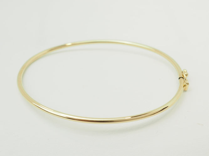 https://cdn.shopify.com/s/files/1/0750/3799/9372/files/P1019681.jpg?v=1781096438