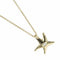 Pendentif Tiffany & Co. Elsa Peretti - Pendentif Starfish en or jaune et diamants 58 Facettes qw8vu617y5