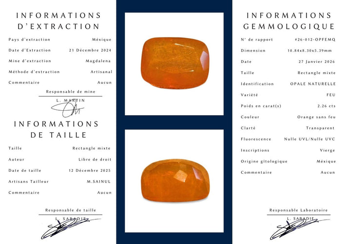 Inner Page.jpg