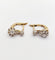 Boucles d'oreilles Dormeuses anciennes en or 18k, platine et diamants 58 Facettes A07232